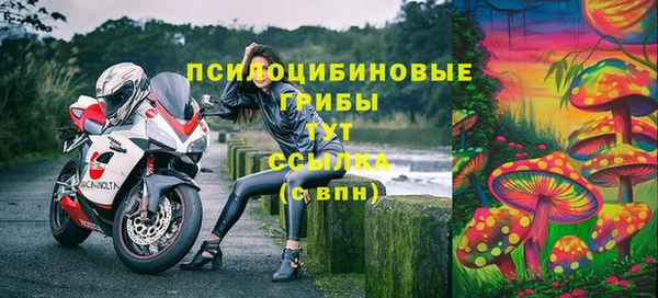 скорость Касимов