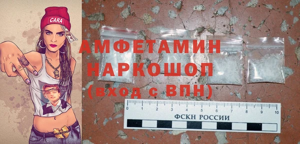 молекула духа Карпинск