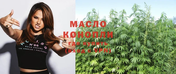 молекула духа Карпинск